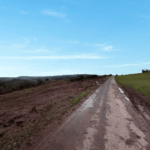 Design sans titre (1)