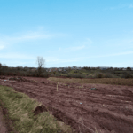 Design sans titre (10)