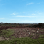 Design sans titre (9)