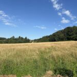 40a8db97-fb38-4352-935e-07d466856483