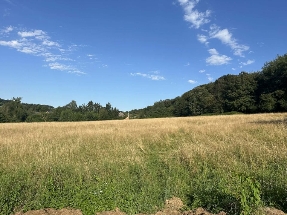 40a8db97-fb38-4352-935e-07d466856483