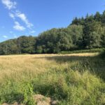 8fa3ea97-77ad-4c09-a09f-72474fa0aef1